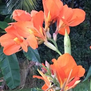 Meet your Posher, Lynne